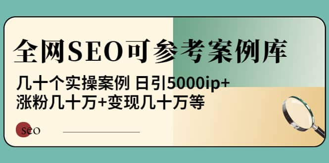 项目-《全网SEO可参考案例库》几十个实操案例骑士资源网(1)