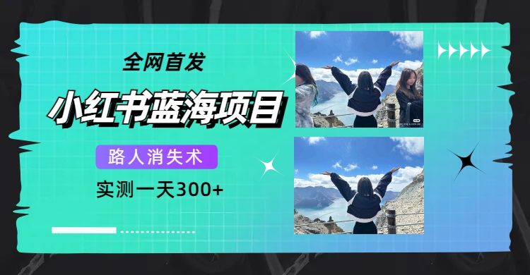 项目-全网首发，小红书蓝海项目，路人消失术，实测一天300 （教程 工具）骑士资源网(1)