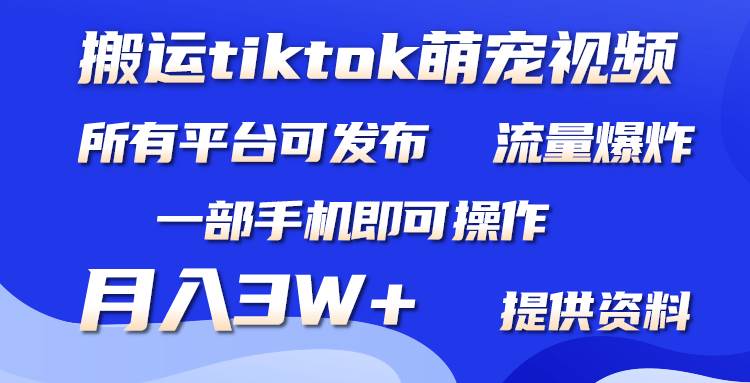 项目-搬运Tiktok萌宠类视频，一部手机即可。所有短视频平台均可操作，月入3W+骑士资源网(1)