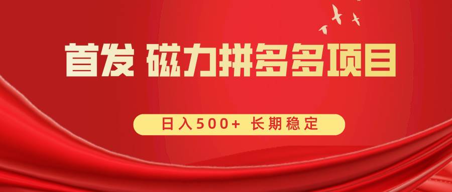 项目-首发 磁力拼多多自撸  日入500骑士资源网(1)