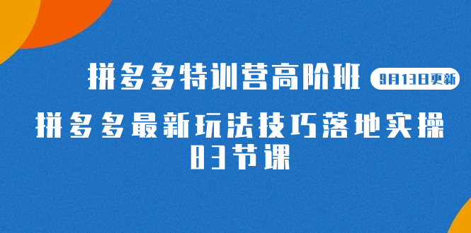 项目-2023拼多多·特训营高阶班【9月13日更新】拼多多最新玩法技巧落地实操-83节骑士资源网(1)