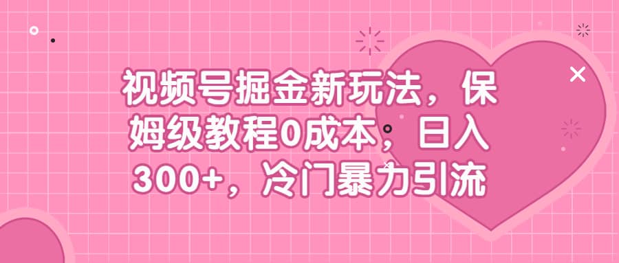 项目-视频号掘金新冷门暴力引流玩法，保姆级教程0成本，日入300骑士资源网(1)