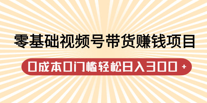 项目-零基础视频号带货赚钱项目，0成本0门槛轻松日入300 【视频教程】骑士资源网(1)