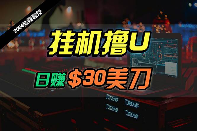 项目-日赚30美刀，2024最新海外挂机撸U内部项目，全程无人值守，可批量放大骑士资源网(1)