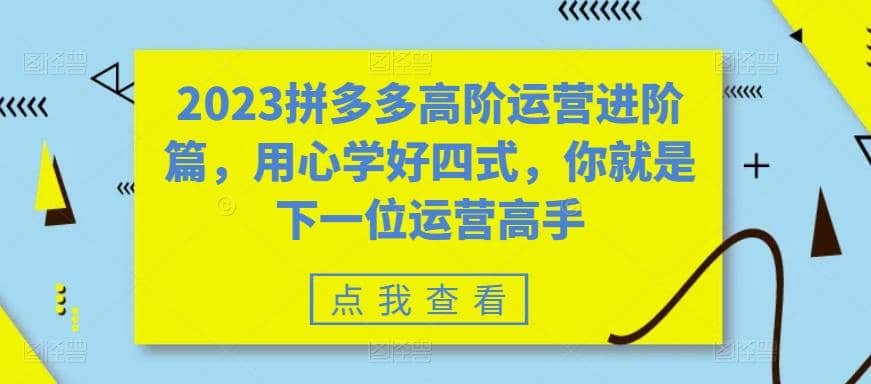 项目-2023拼多多高阶运营进阶篇，用心学好四式，你就是下一位运营高手骑士资源网(1)