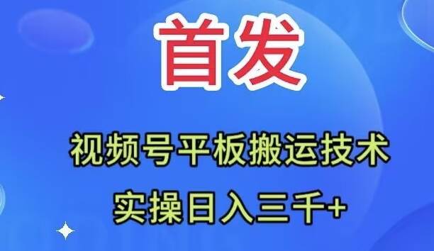 项目-全网首发：视频号平板搬运技术，实操日入三千＋骑士资源网(1)