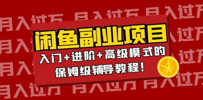 项目-月入过万闲鱼副业项目：入门 进阶 高级模式的保姆级辅导教程骑士资源网(1)