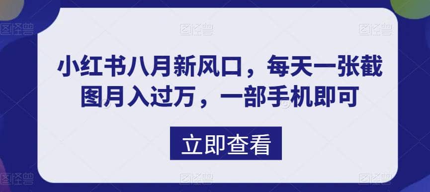 项目-八月新风口，小红书虚拟项目一天收入1000 ，实战揭秘骑士资源网(1)