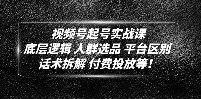 项目-视频号起号实战课：底层逻辑 人群选品 平台区别 话术拆解 付费投放等骑士资源网(1)