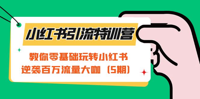 项目-小红书引流特训营-第5期：教你零基础玩转小红书，逆袭百万流量大咖骑士资源网(1)