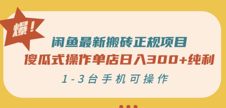 项目-闲鱼最新搬砖正规项目：傻瓜式操作单店日入300 纯利，1-3台手机可操作骑士资源网(1)