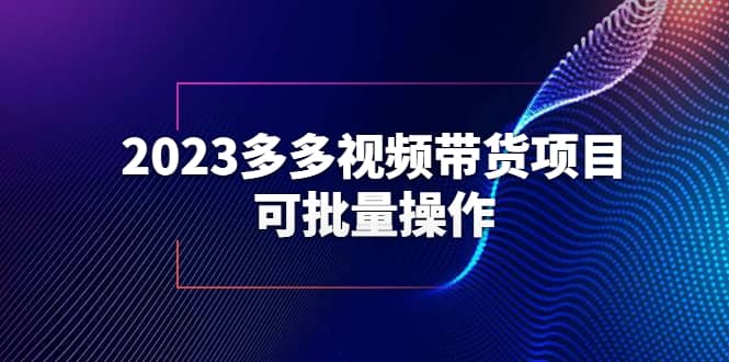 项目-2023多多视频带货项目，可批量操作【保姆级教学】骑士资源网(1)