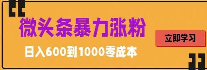 项目-微头条暴力涨粉技巧搬运文案就能涨几万粉丝，简单0成本，日赚600骑士资源网(1)