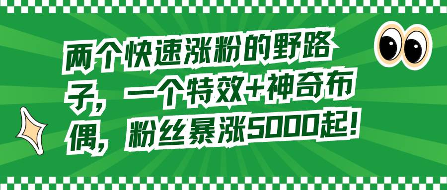 项目-两个快速涨粉的野路子，一个特效 神奇布偶，粉丝暴涨5000起！骑士资源网(1)