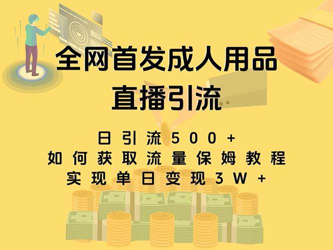 项目-最新全网独创首发，成人用品直播引流获客暴力玩法，单日变现3w保姆级教程骑士资源网(1)