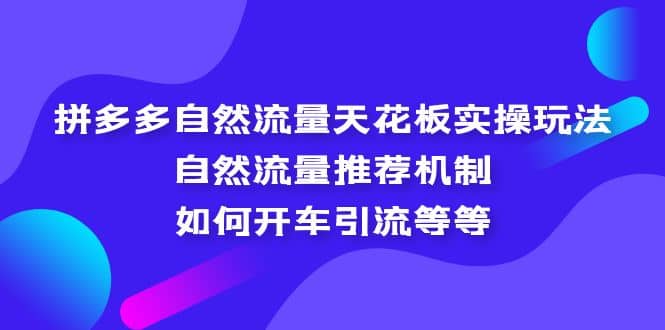 项目-拼多多自然流量天花板实操玩法：自然流量推荐机制，如何开车引流等等骑士资源网(1)