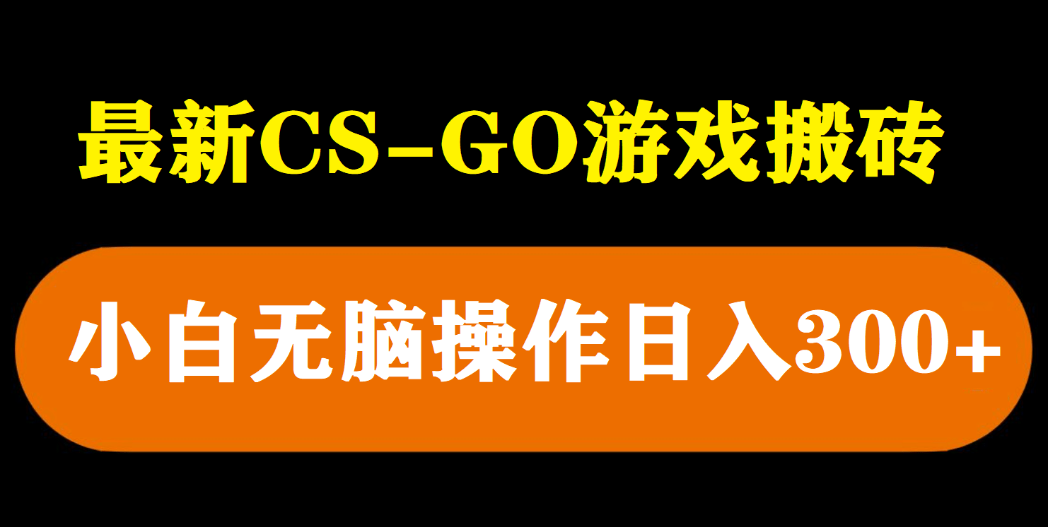 项目-最新csgo游戏搬砖游戏，无需挂机小白无脑也能日入300骑士资源网(1)