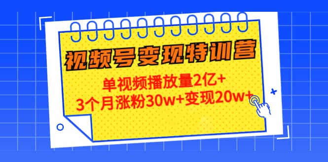 项目-20天视频号变现特训营：单视频播放量2亿骑士资源网(1)