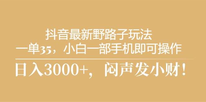 项目-抖音最新野路子玩法，一单35，小白一部手机即可操作，，日入3000+，闷&#8230;骑士资源网(1)