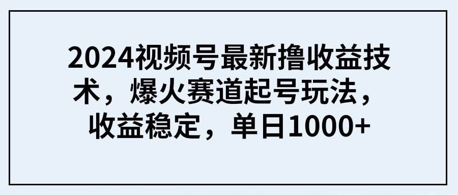 项目-2024视频号最新撸收益技术，爆火赛道起号玩法，收益稳定，单日1000+骑士资源网(1)