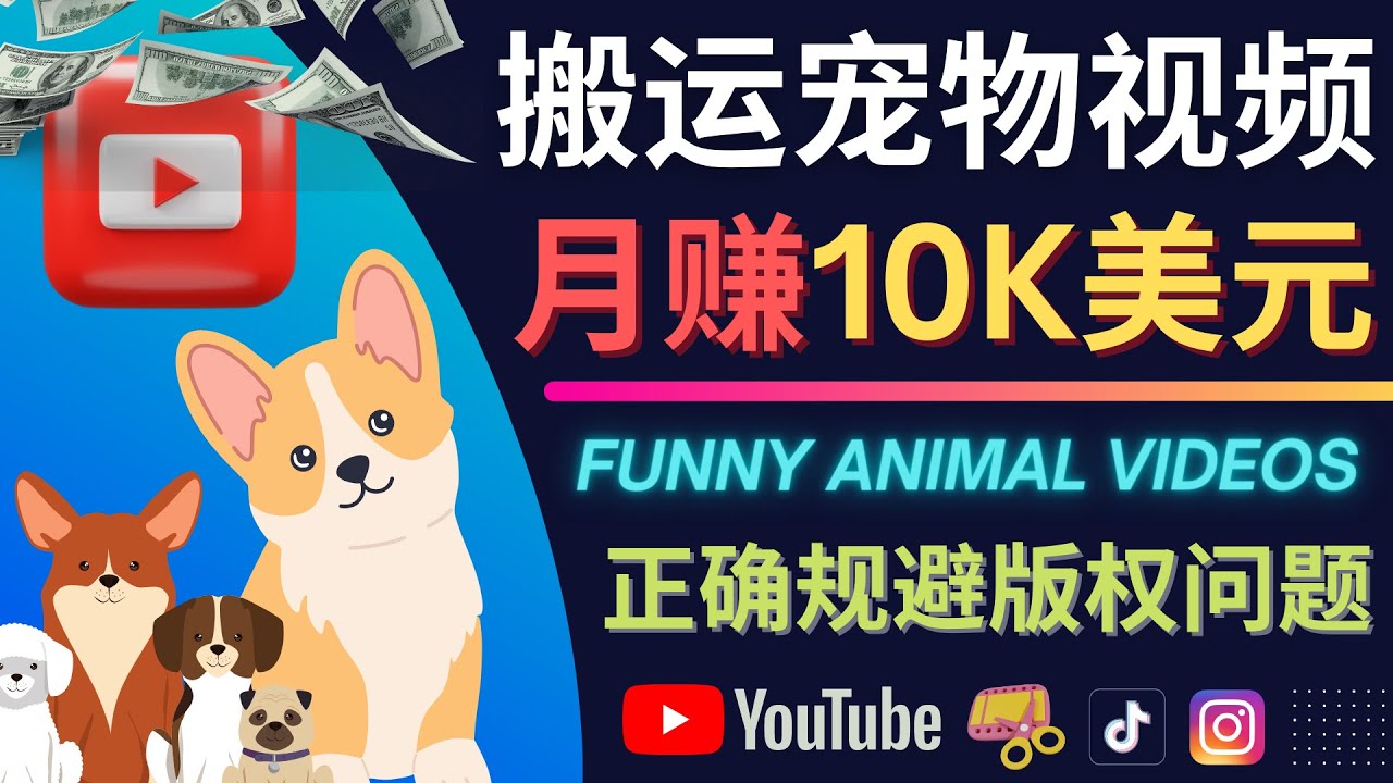 项目-搬运TIKTOK视频到YouTube，并进行二次创作，月赚1万美元以上骑士资源网(1)