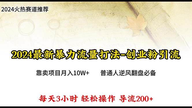 项目-2024年最新暴力流量打法，每日导入300+，靠卖项目月入10W+骑士资源网(1)