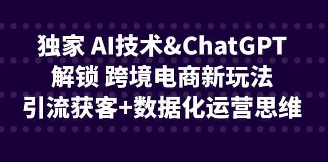 项目-独家 AI技术ChatGPT解锁 跨境电商新玩法，引流获客 数据化运营思维骑士资源网(1)