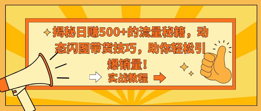 项目-揭秘日赚500+的流量秘籍，动态闪图带货技巧，助你轻松引爆销量！骑士资源网(1)