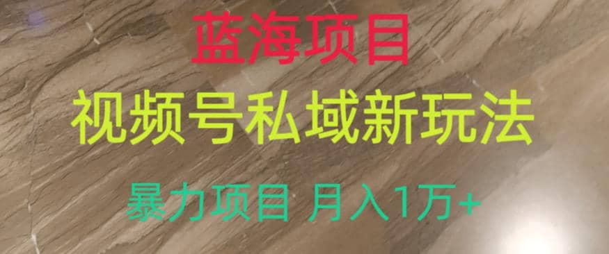 项目-蓝海项目，视频号私域新玩法，暴力项目月入1万 【揭秘】骑士资源网(1)