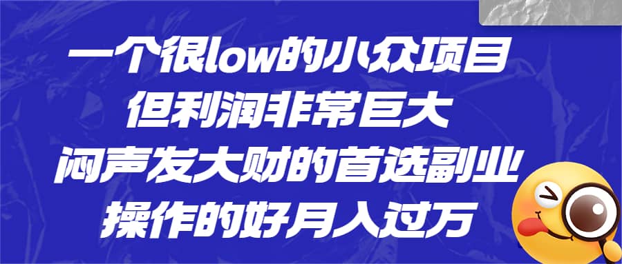 项目-一个很low的小众项目，但利润非常巨大，闷声发大财的首选副业，月入过万骑士资源网(1)