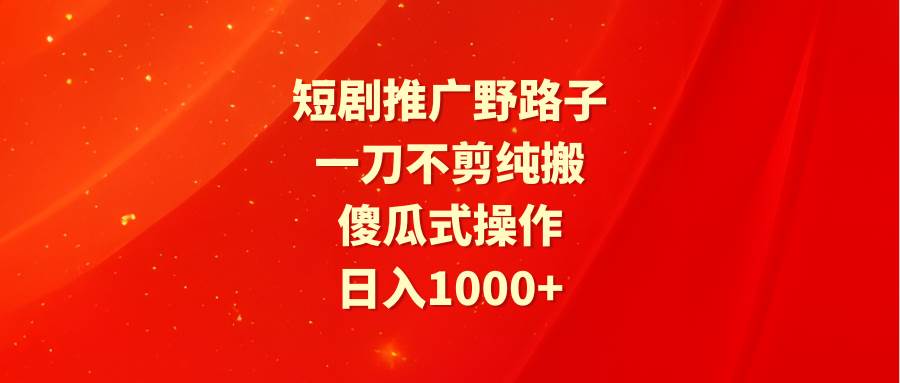 项目-短剧推广野路子，一刀不剪纯搬运，傻瓜式操作，日入1000+骑士资源网(1)