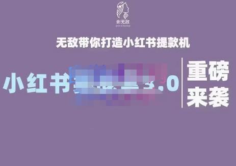 项目-谢无敌·小红书实战营3.0，无敌带你打造小红书提款机 价值7999元骑士资源网(1)