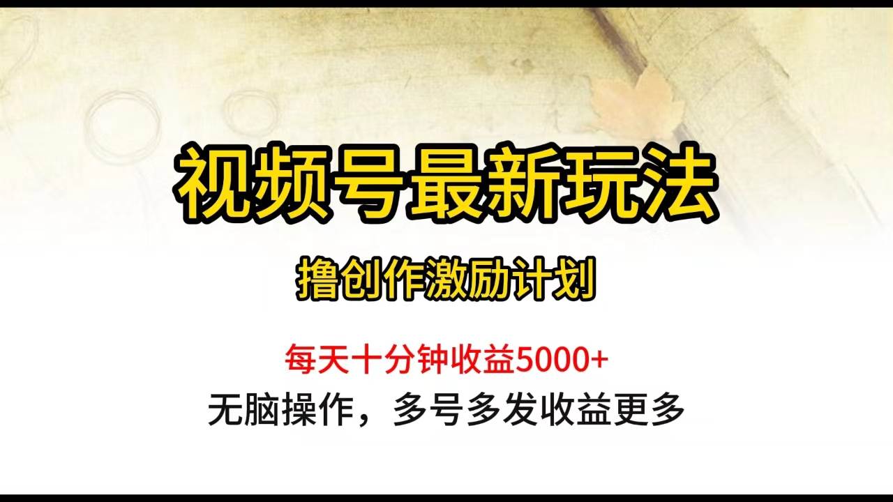 项目-视频号最新玩法，每日一小时月入5000+骑士资源网(1)