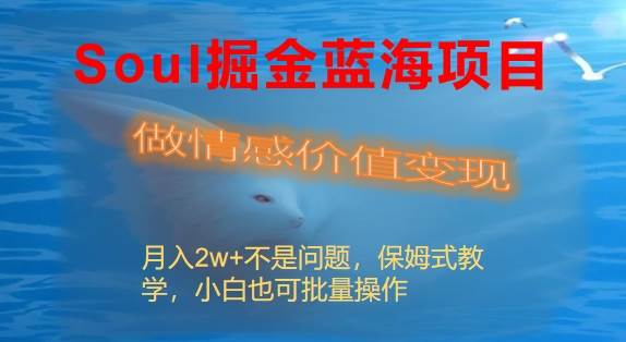 项目-Soul掘金蓝海项目细分赛道，做情感价值变现，月入2w 不是问题骑士资源网(1)