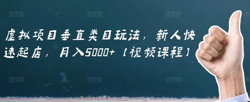 项目-虚拟项目垂直类目玩法，新人快速起店，月入5000 【视频课程】骑士资源网(1)