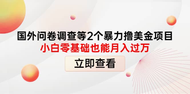 项目-国外问卷调查等2个暴力撸美元项目，小白零基础也能月入过万骑士资源网(1)