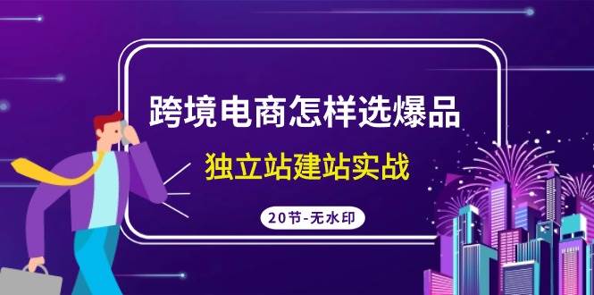 项目-跨境电商怎样选爆品，独立站建站实战（20节高清无水印课）骑士资源网(1)