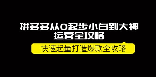 项目-拼多多从0起步小白到大神运营全攻略骑士资源网(1)