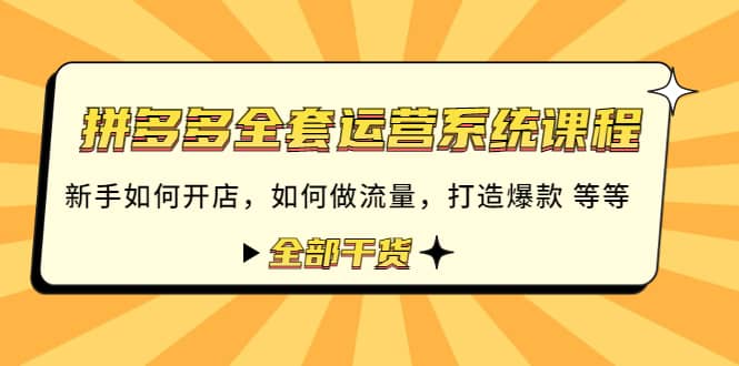 项目-拼多多全套运营系统课程：新手如何开店 如何做流量 打造爆款 等等 全部干货骑士资源网(1)