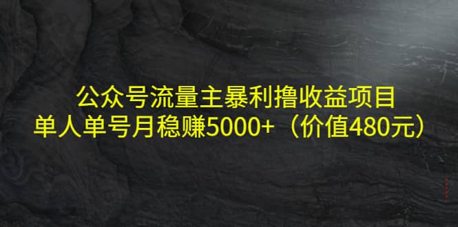 项目-公众号流量主暴利撸收益项目，单人单号月稳赚5000 （价值480元）骑士资源网(1)