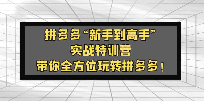 项目-拼多多“新手到高手”实战特训营：带你全方位玩转拼多多骑士资源网(1)