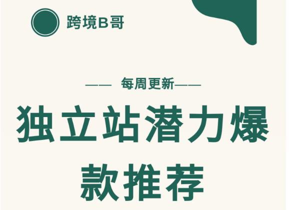 项目-【跨境B哥】独立站潜力爆款选品推荐，测款出单率高达百分之80（每周更新）骑士资源网(1)