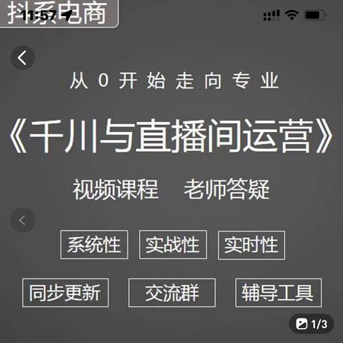 项目-阳光·千川与直播间运营从0开始走向专业，93节完整版骑士资源网(1)