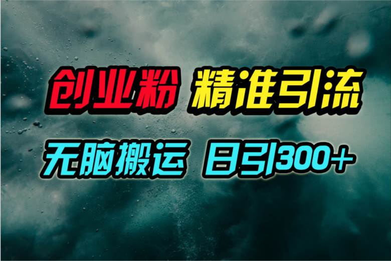 项目-视频号纯搬运日引300+创业粉教程！骑士资源网(1)