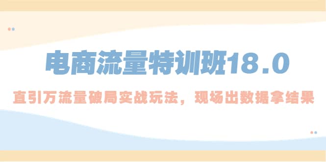 项目-电商流量特训班18.0，直引万流量破局实操玩法，现场出数据拿结果骑士资源网(1)