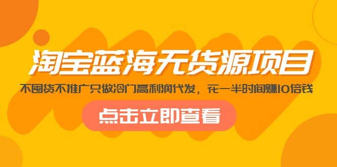 项目-淘宝蓝海无货源项目，不囤货不推广只做冷门高利润代发骑士资源网(1)