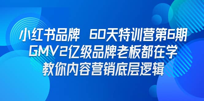 项目-小红书品牌 60天特训营第6期 GMV2亿级品牌老板都在学 教你内容营销底层逻辑骑士资源网(1)