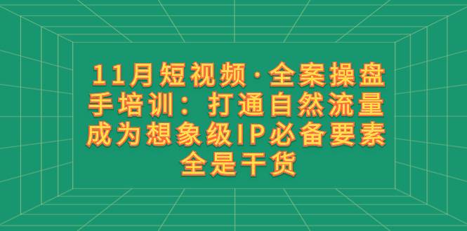 11月短视频·全案操盘手培训：打通自然流量 成为想象级IP必备要素 全是干货