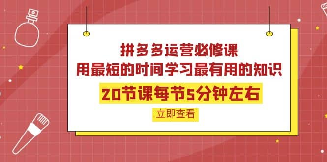 项目-拼多多运营必修课：20节课每节5分钟左右，用最短的时间学习最有用的知识骑士资源网(1)