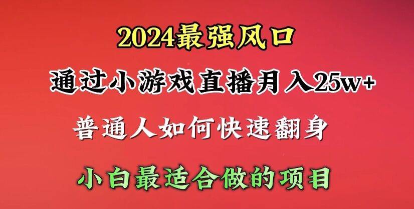 项目-2024年最强风口，通过小游戏直播月入25w+单日收益5000+小白最适合做的项目骑士资源网(1)